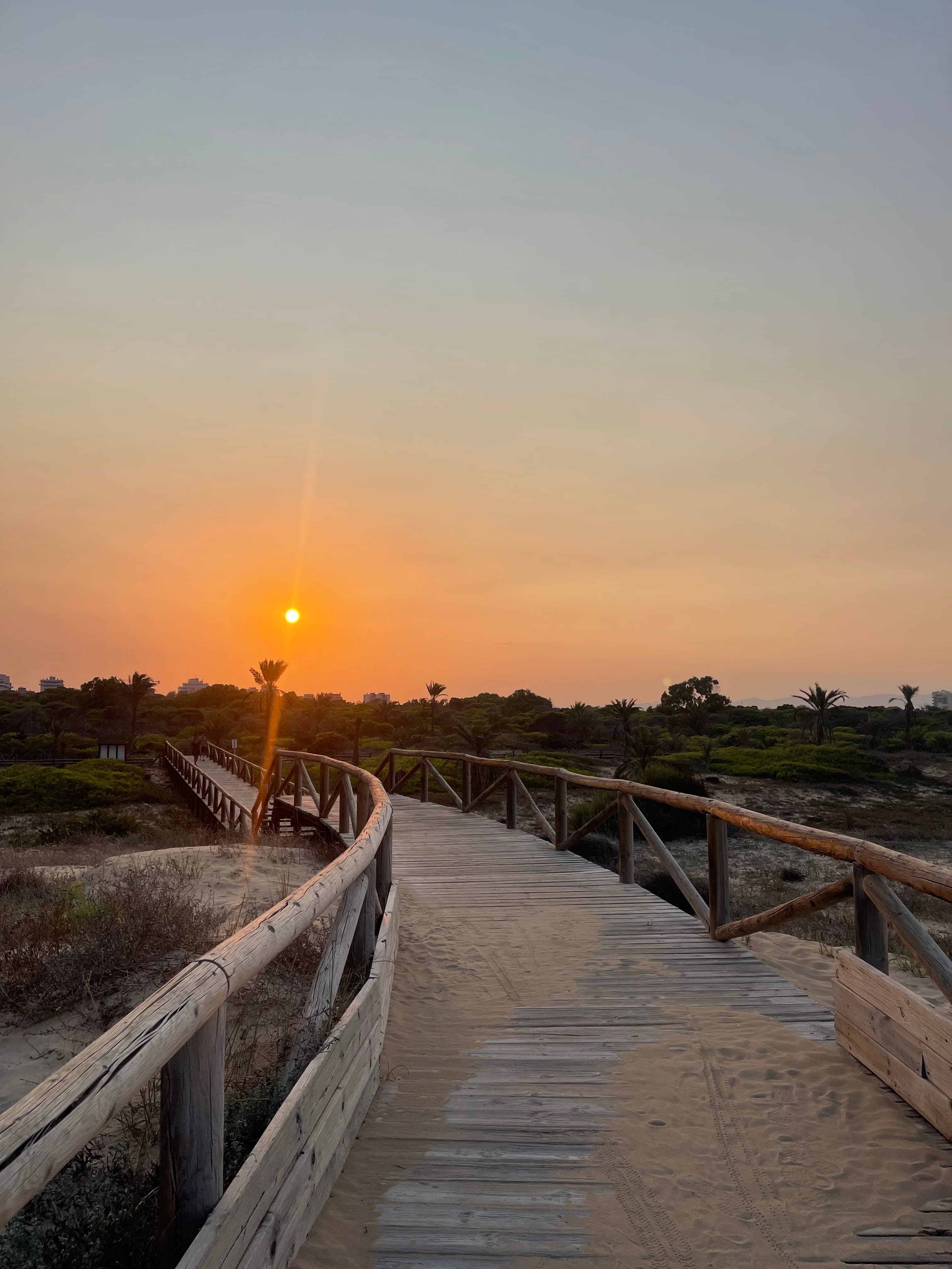 Parque Alfonso XIII y pinada